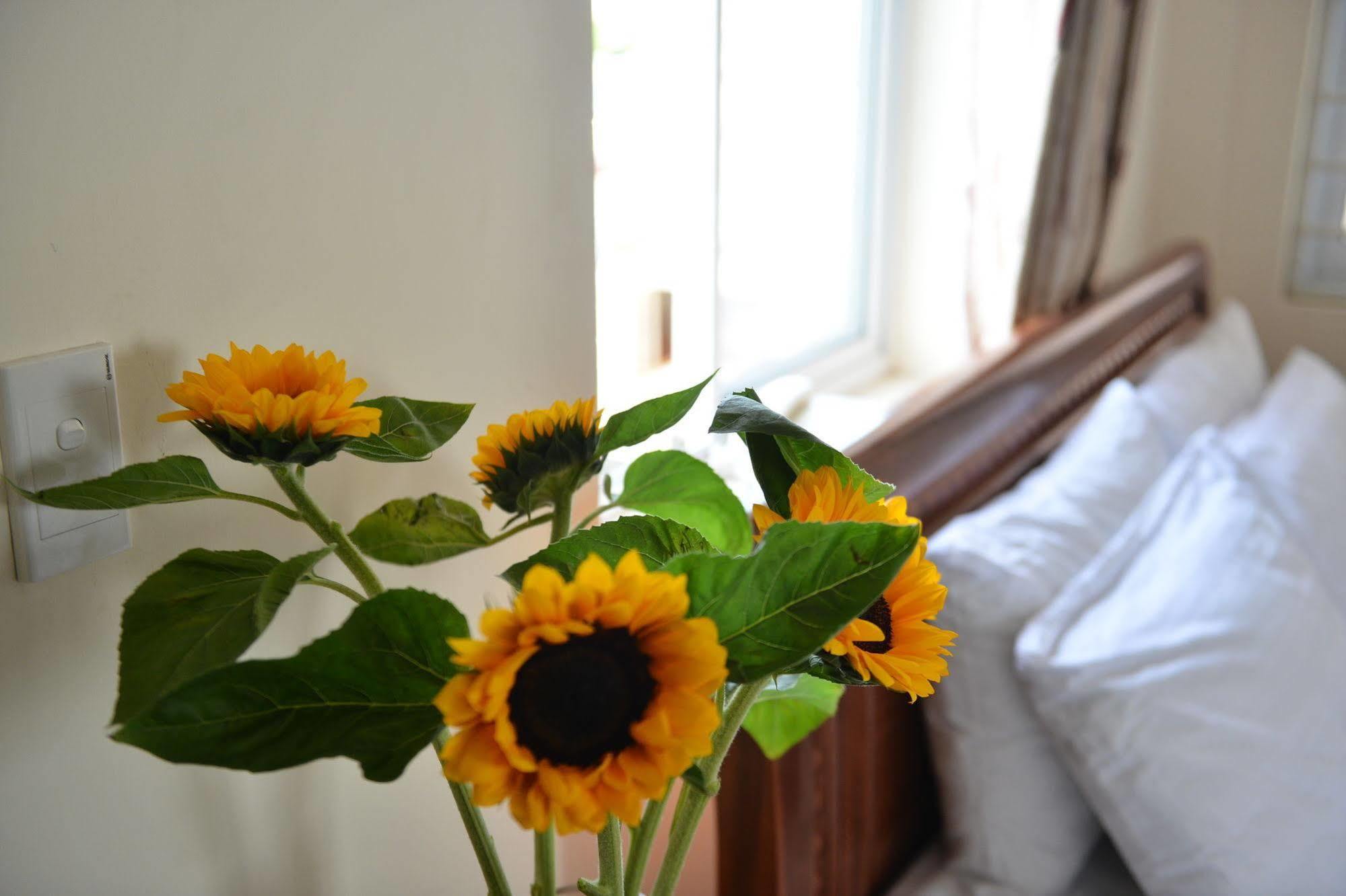 Oc Tien Sa Hotel Дананг Екстериор снимка